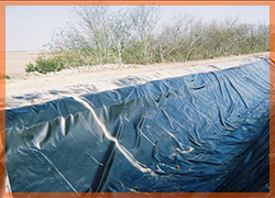 Dolphin Impex, Tarpaulin, PP/HDPE Tarpaulin, Tarpaulin manufacturer, laminated HDPE/PP tarpaulin, Tarpaulin manufacturer gujarat, Tarpaulin manufacturer India, tarpaulin suppliers, waterproof Tarpaulin, PP/HDPE Tarpaulin, Hdpe Roll, Tarpaulin, Lamination, Plastic lamination, hdpe Plastic sheet, hdpe woven fabric?s, lamination of hdpe woven cloth, hdpe tarpaulin fabrocs, lamination size, tadpatri, tripal, uncoated and coated hdpe, virgin tarpaulin, tarpaulin material, tarpaulin covers, poly tarpaulin, polythylene tarpaulin